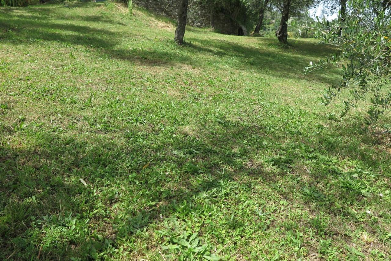 Willa Banks 1 Vezzano Ligure Zewnętrze zdjęcie